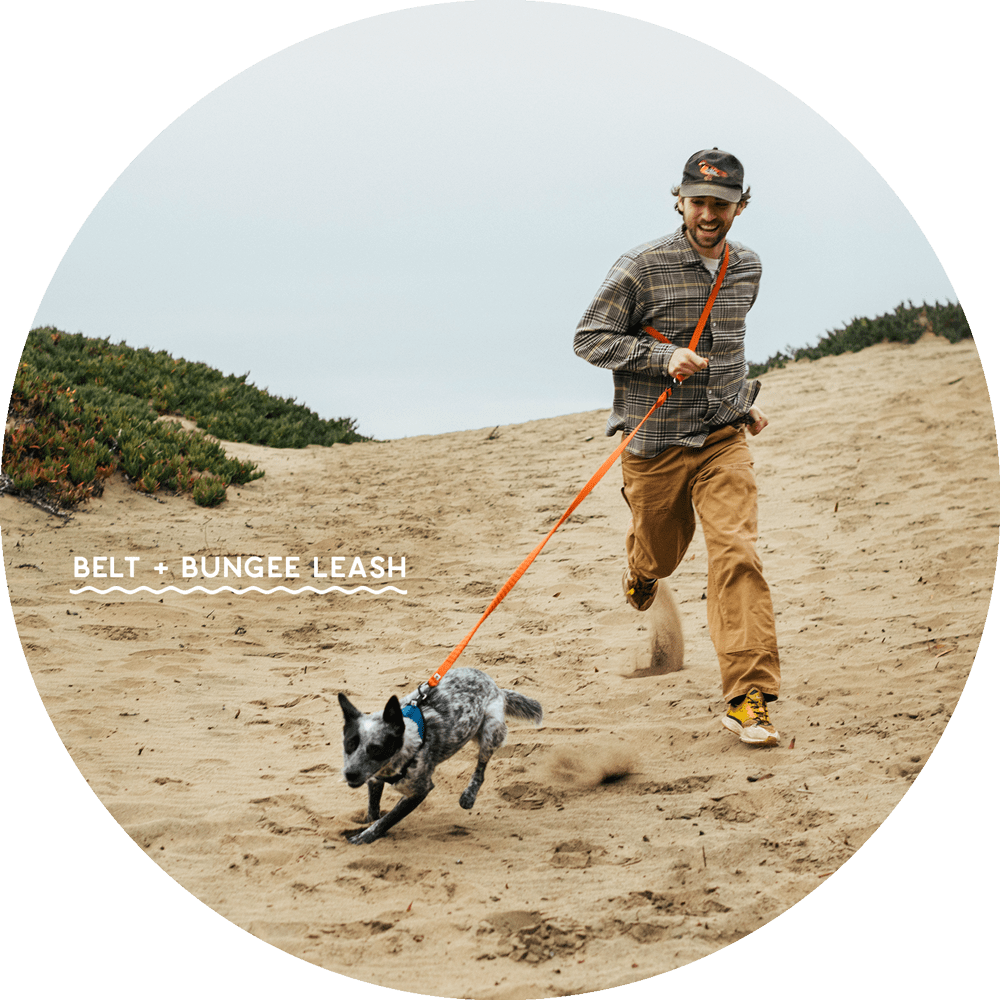 Ashbury Hands-Free Dog Leash
