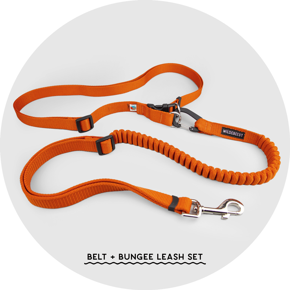 Ashbury Hands-Free Dog Leash components in Sky Blue, Burnt Orange and Black, Wildebeest, sold through Sniff and Shift