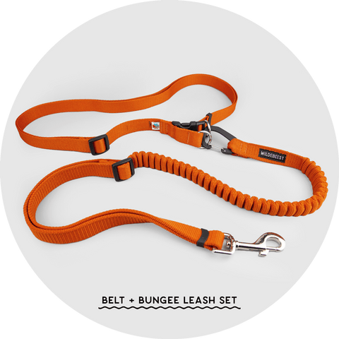 Ashbury Hands-Free Dog Leash