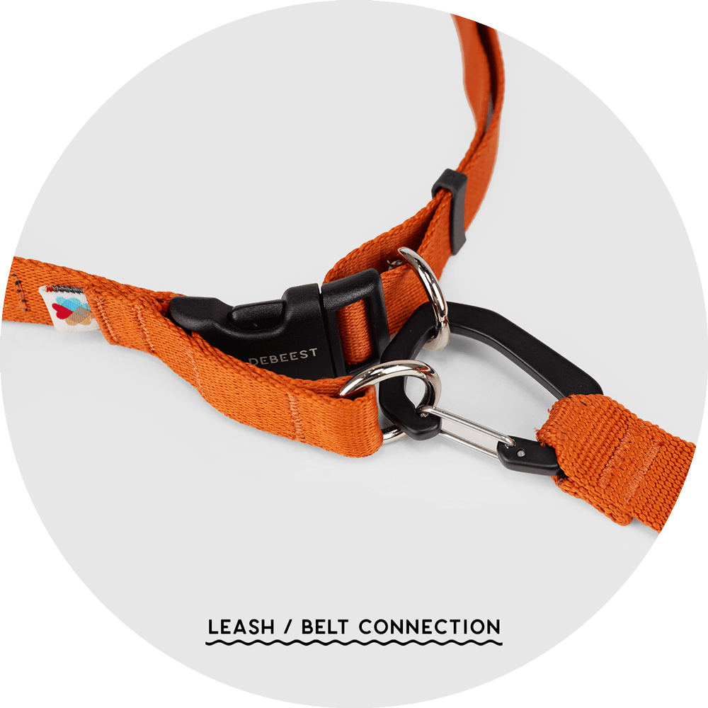 Ashbury Hands-Free Dog Leash