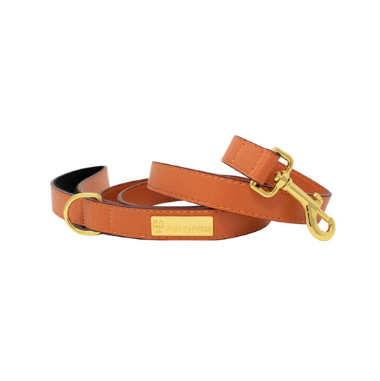 Ainsley Vegan Leather Dog Leash, smooth and polished, Pink Papyrus Co., sold through Sniff and Shift