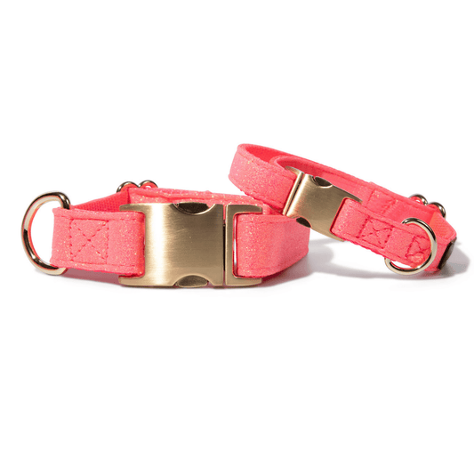 Ambrose Dog Collar in glitter with gold hardware, Pink Papyrus Co., sold through Sniff and Shift