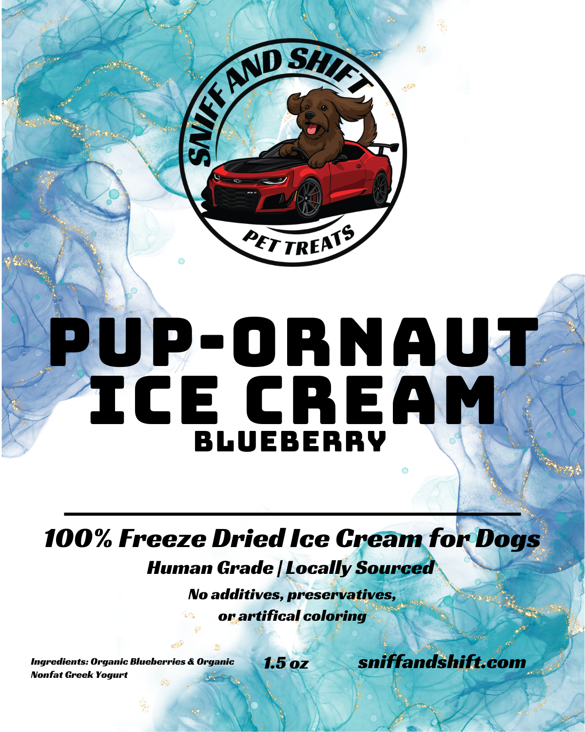 Blueberry Pup-Ornaut Ice Cream