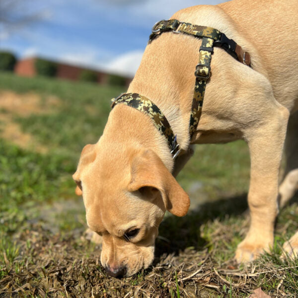 Archie Loves Mud EarthStyle Freedom No-Pull Dog Harness