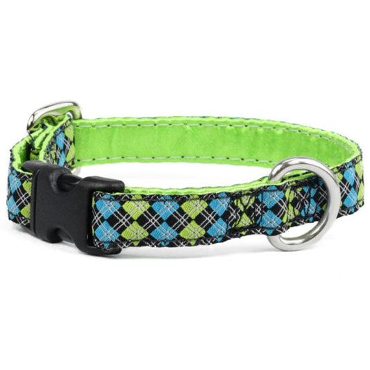 Argyle Turquoise and Green Buckle Martingale Dog Collar 5/8″ by 2 Hounds Design, sold through Sniff and Shift