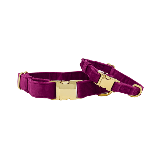 August Dog Collar in ultra-soft velvet, sizes XS to L, Pink Papyrus Co., sold through Sniff and Shift