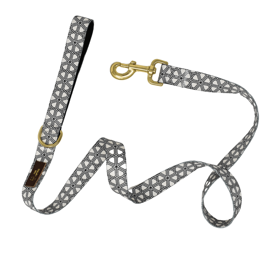 Avery Dog Leash with a padded grip and D-ring, Pink Papyrus Co., sold through Sniff and Shift