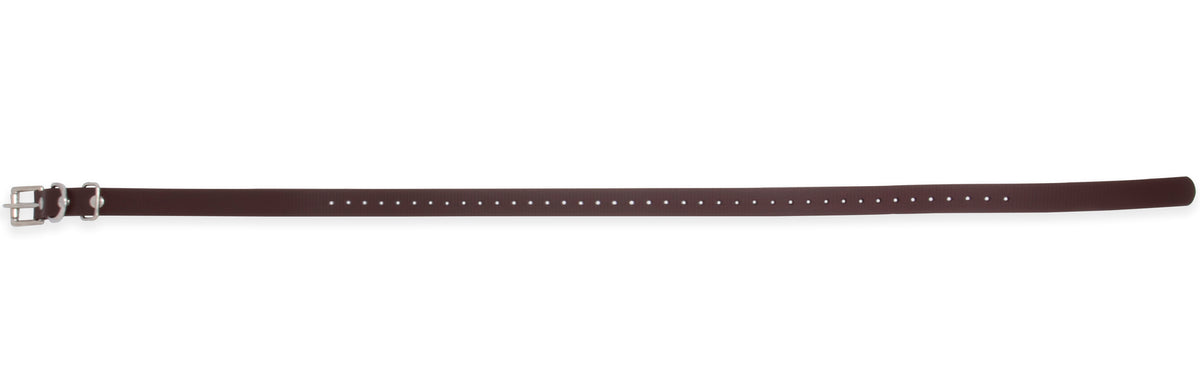 3/4 inch reflective biothane e-collar strap