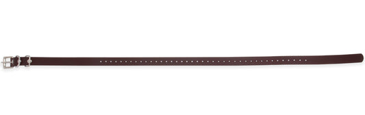 3/4 inch reflective biothane e-collar strap