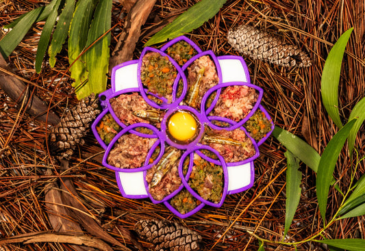 Raw Instincts beef blend in a purple flower shaped lick mat with small whole fish, carrot and an egg yolk center, on pine needles.