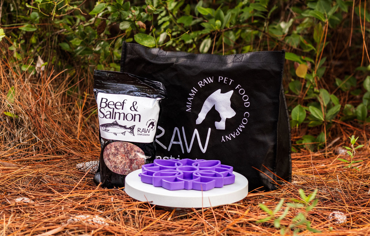 Raw Beef & Wild-Caught Salmon Meal Blend for Cats & Dogs, Prey Model Raw | Raw Instincts Florida