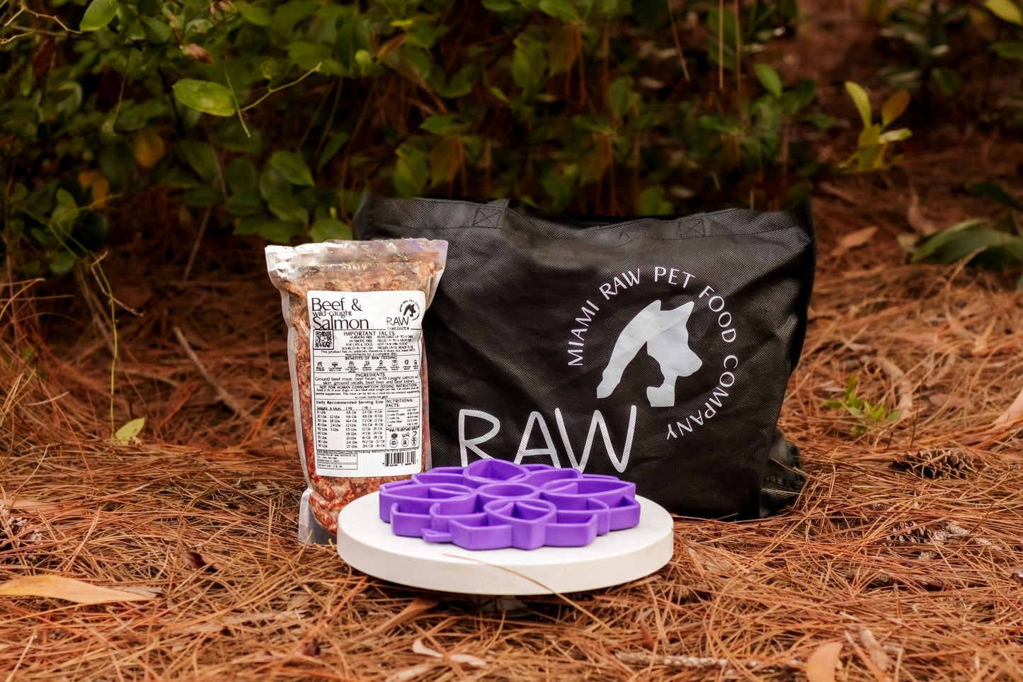 Raw Beef & Wild-Caught Salmon Meal Blend for Cats & Dogs, Prey Model Raw | Raw Instincts Florida