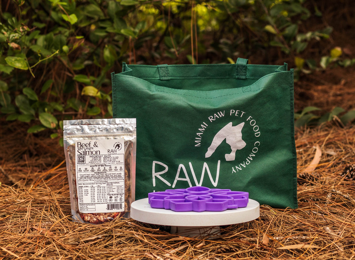 Raw Beef & Wild-Caught Salmon Meal Blend for Cats & Dogs, Prey Model Raw | Raw Instincts Florida