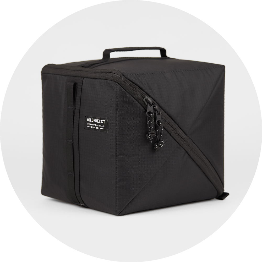 Bernal Transformer Travel Bag