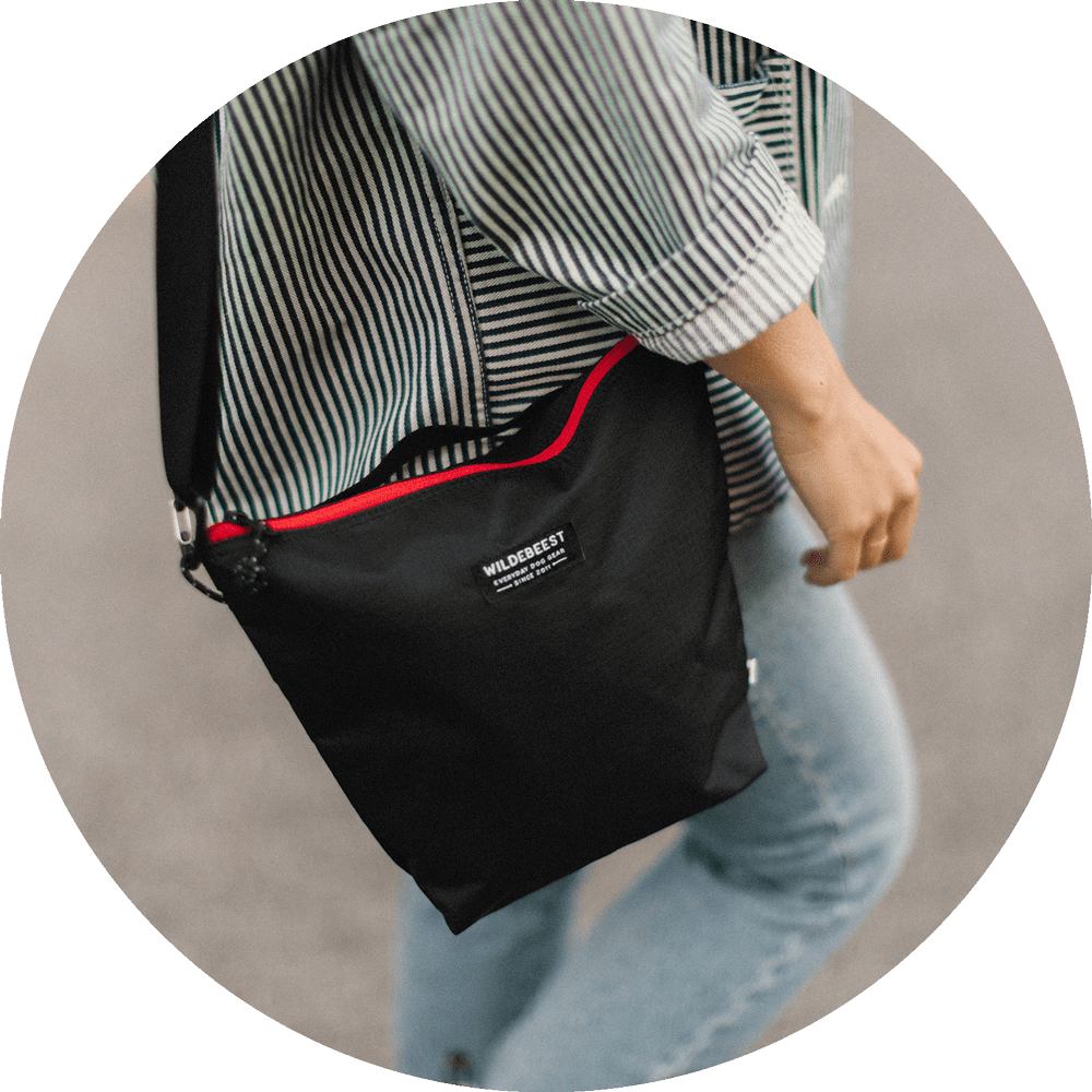 Bernal Transformer Travel Bag