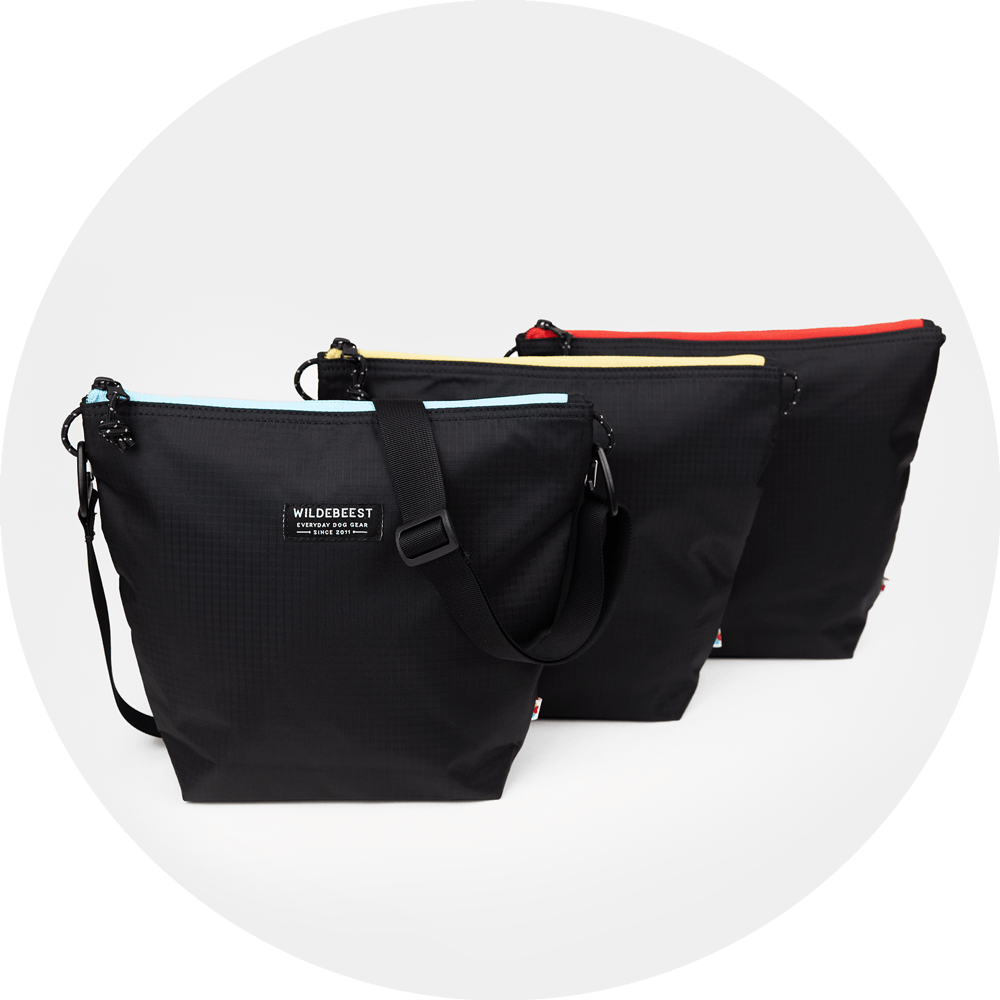 Bernal Transformer Travel Bag
