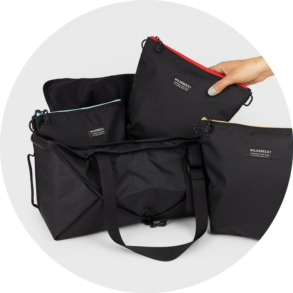 Bernal Transformer Travel Bag