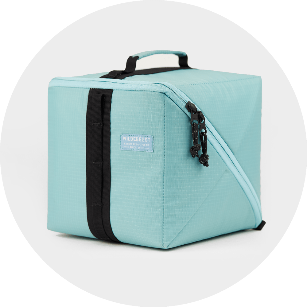 Bernal Transformer Travel Bag