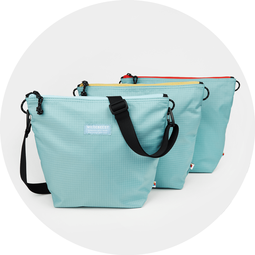 Bernal Transformer Travel Bag