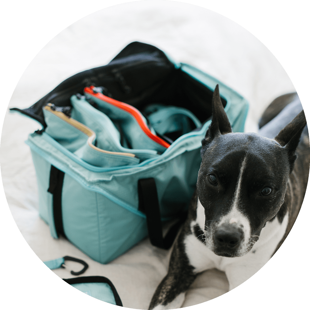 Bernal Transformer Travel Bag