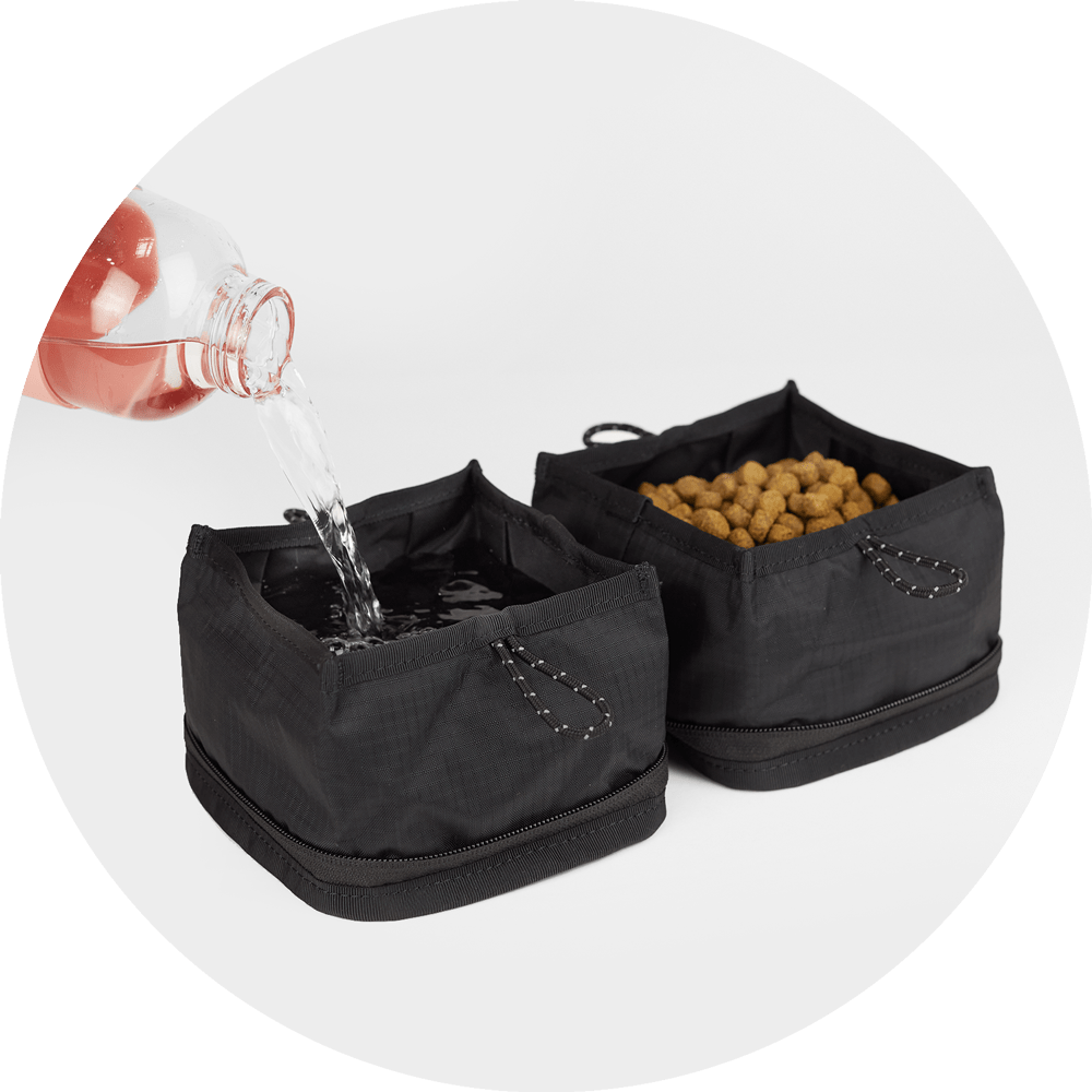 Bernal Pop-Up Dog Bowl set folded flat and open, in Sky Blue and Black, Wildebeest, sold through Sniff and Shift