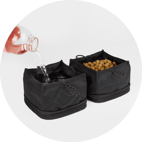 Bernal Pop-Up Dog Bowl