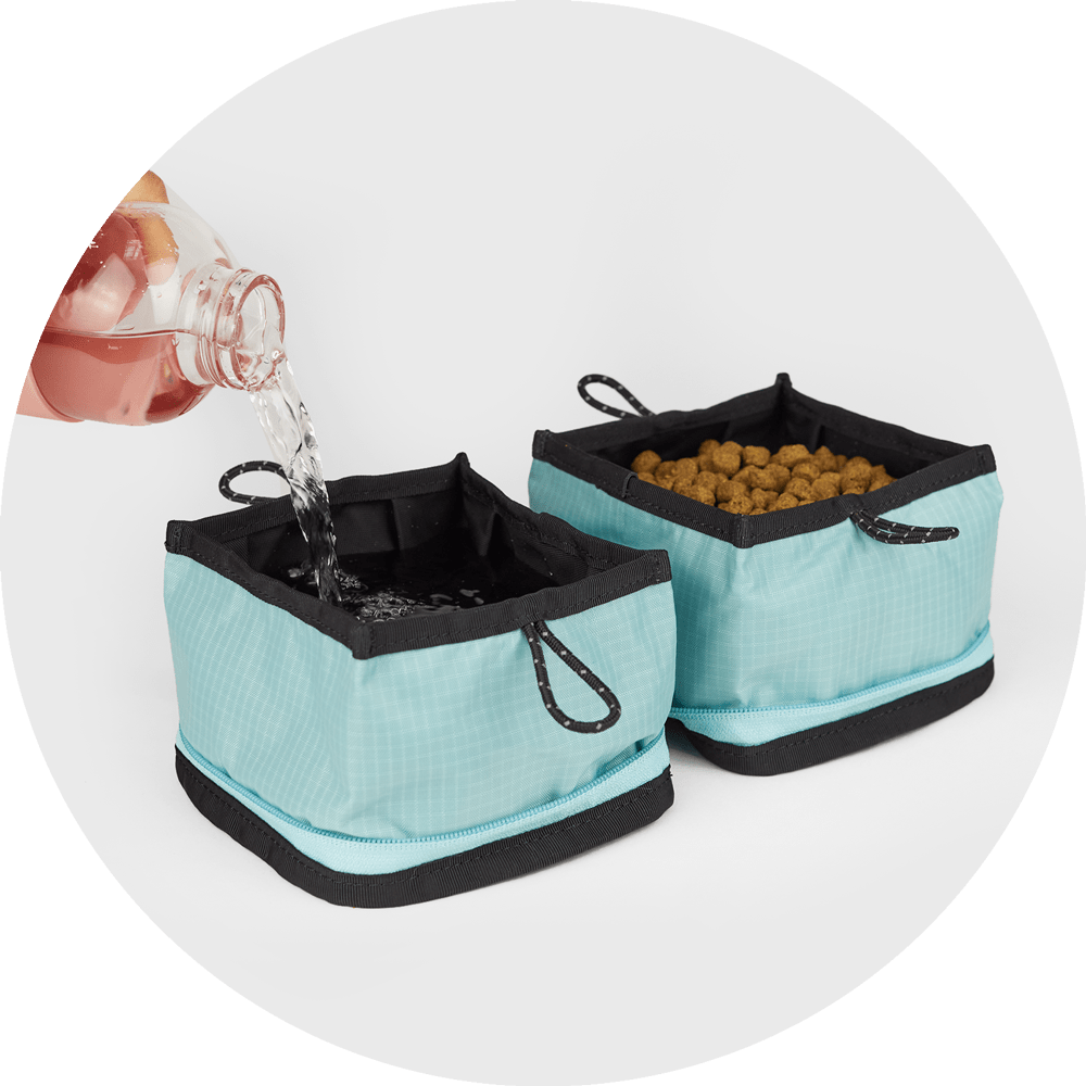 Bernal Pop-Up Dog Bowl