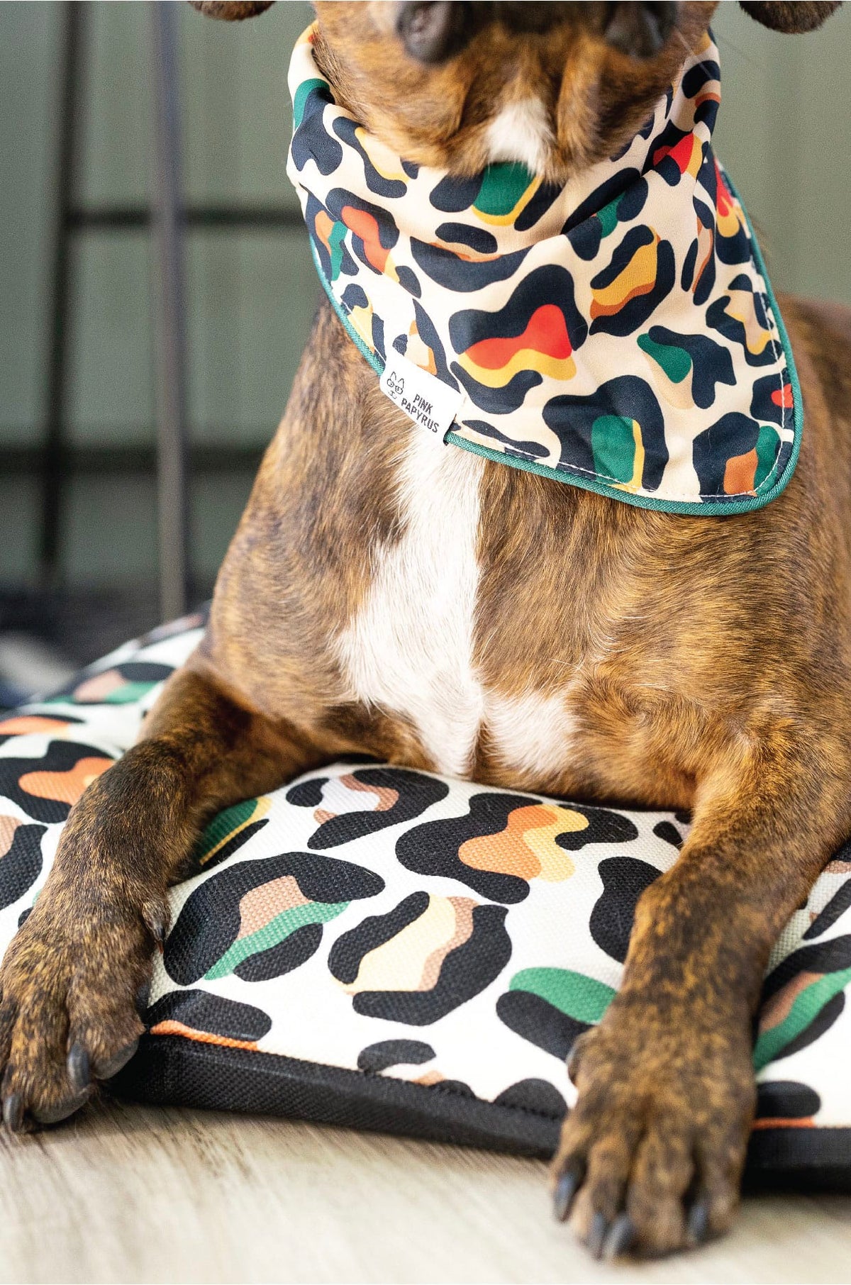 Beckett Dog Bed