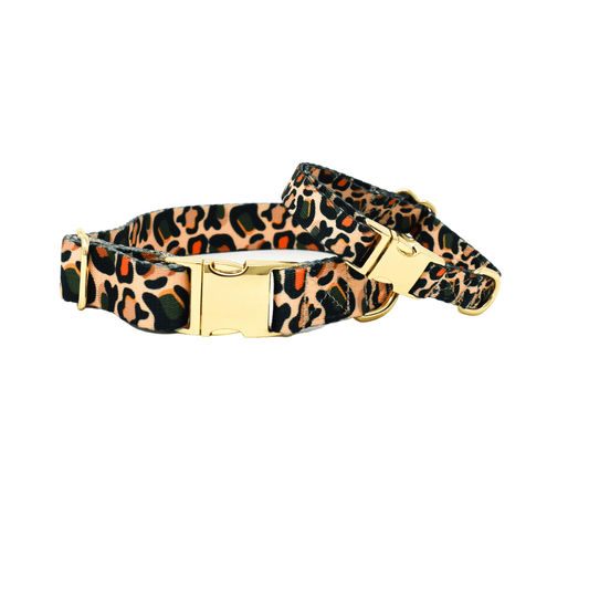 Beckett Dog Collar in a leopard print, sizes XS to L, Pink Papyrus Co., sold through Sniff and Shift