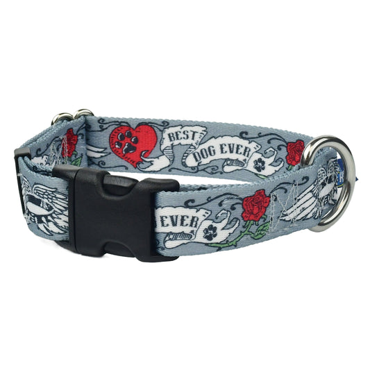 Best Dog Ever Buckle Martingale Dog Collar EarthStyle (1″ Only) by 2 Hounds Design, sold through Sniff and Shift