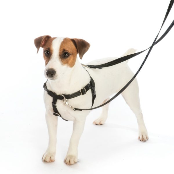 Paw Paisley EarthStyle Freedom No-Pull Dog Harness