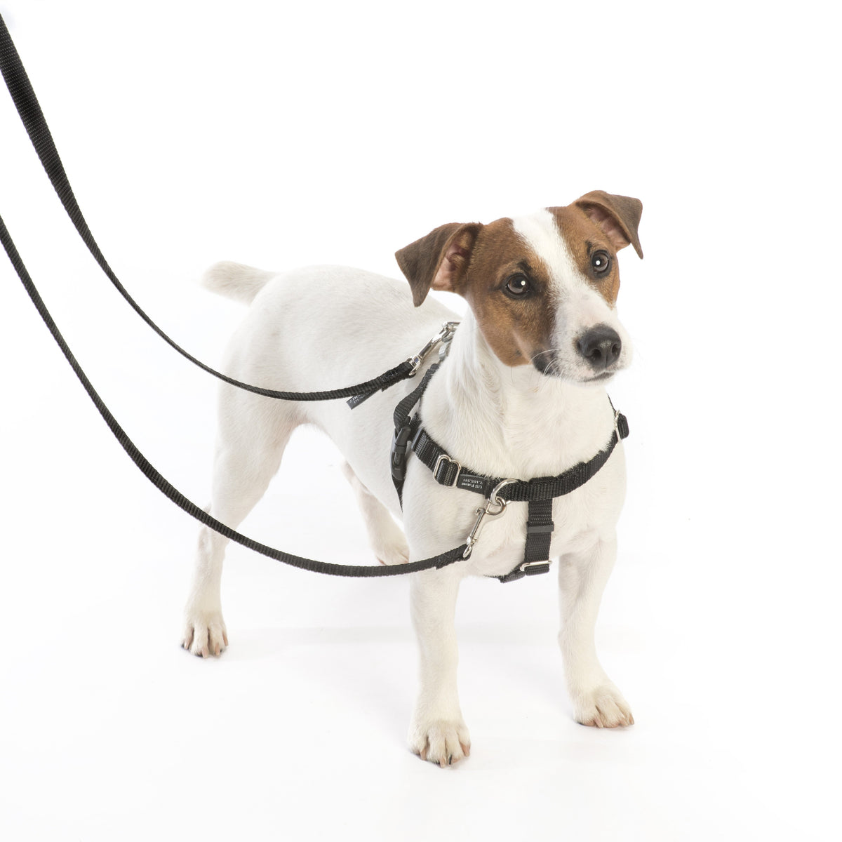 Rust 1″ Only Freedom No-Pull Dog Harness