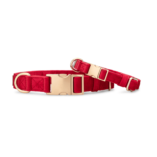 Blaze Dog Collar in velvet-soft red with gold hardware, Pink Papyrus Co., sold through Sniff and Shift
