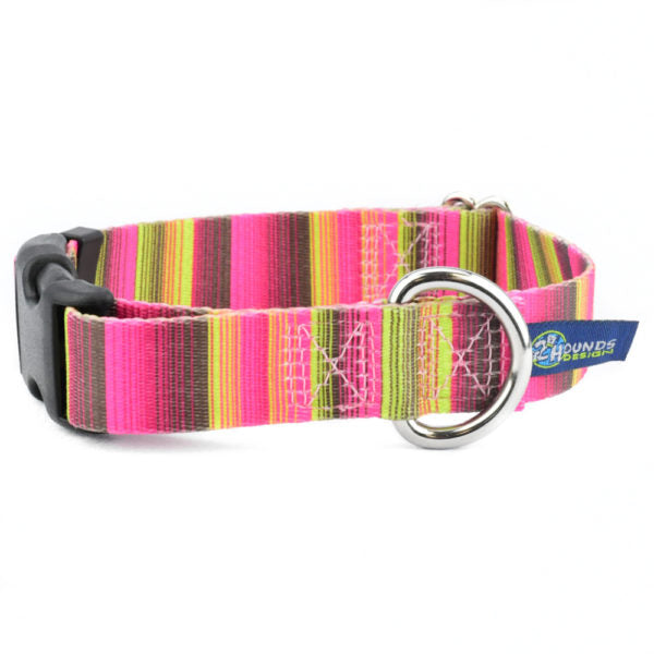 Bonnie EarthStyle Buckle Martingale Dog Collar by 2 Hounds Design, sold through Sniff and Shift