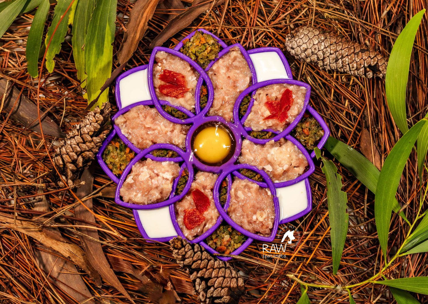 Raw Instincts chicken and turkey blend in a purple flower shaped lick mat with an egg yolk center and red fruit, on pine needles.