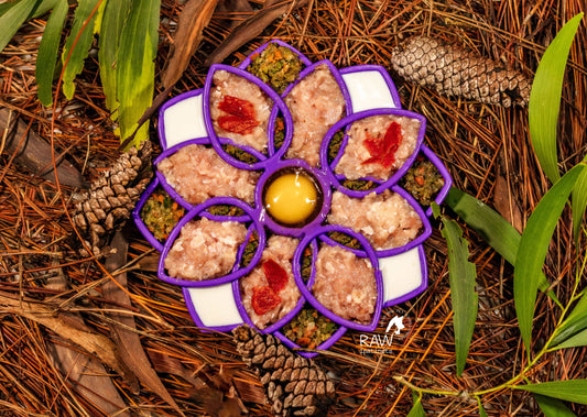 Raw Instincts chicken and turkey blend in a purple flower shaped lick mat with an egg yolk center and red fruit, on pine needles.