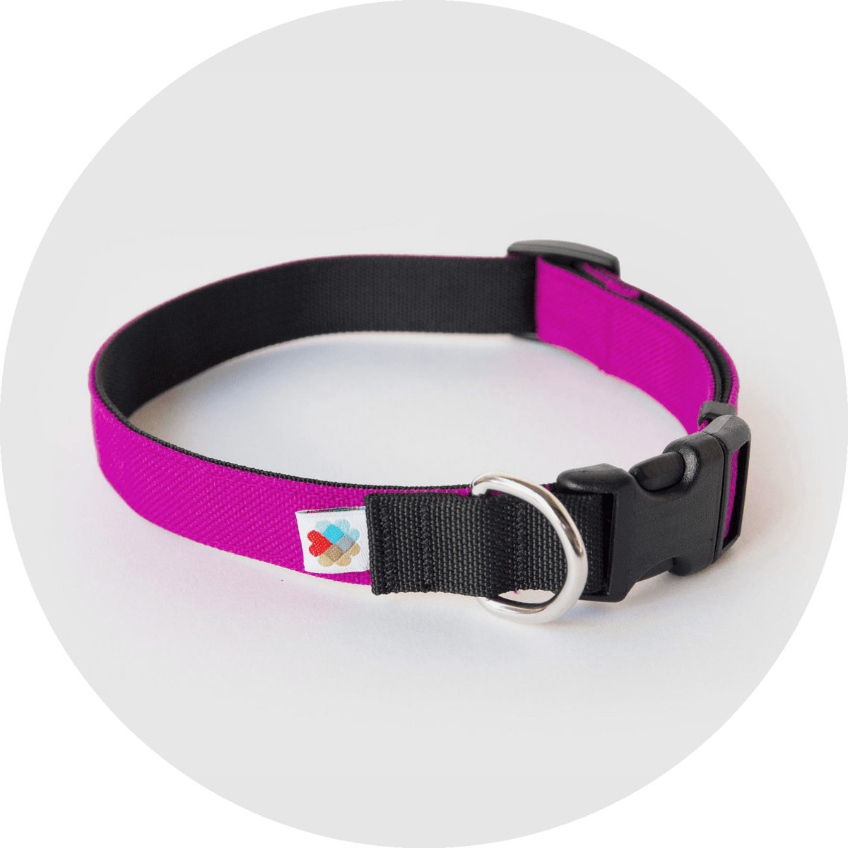 Funston Classic Dog Collar