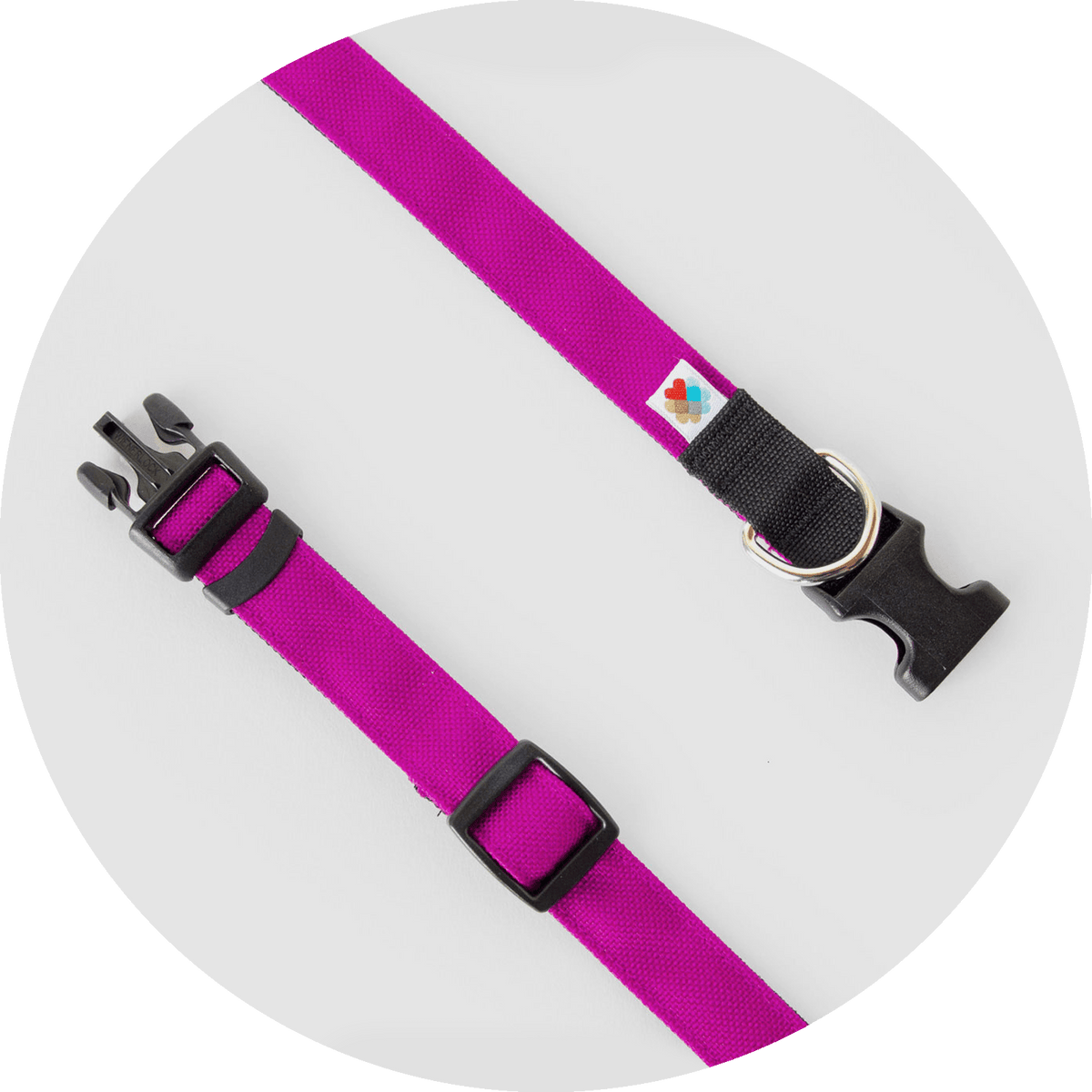 Funston Classic Dog Collar