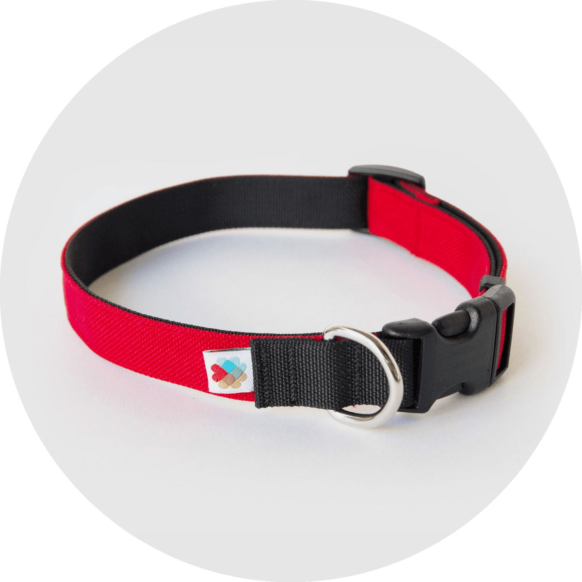 Funston Classic Dog Collar in six colors, sizes S to L, Wildebeest, sold through Sniff and Shift