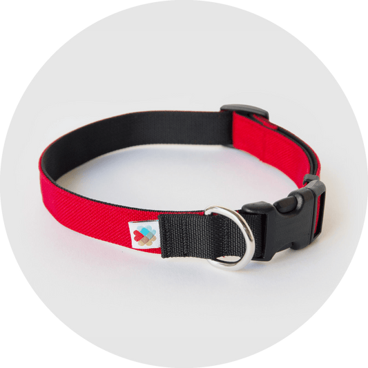 Funston Classic Dog Collar in six colors, sizes S to L, Wildebeest, sold through Sniff and Shift