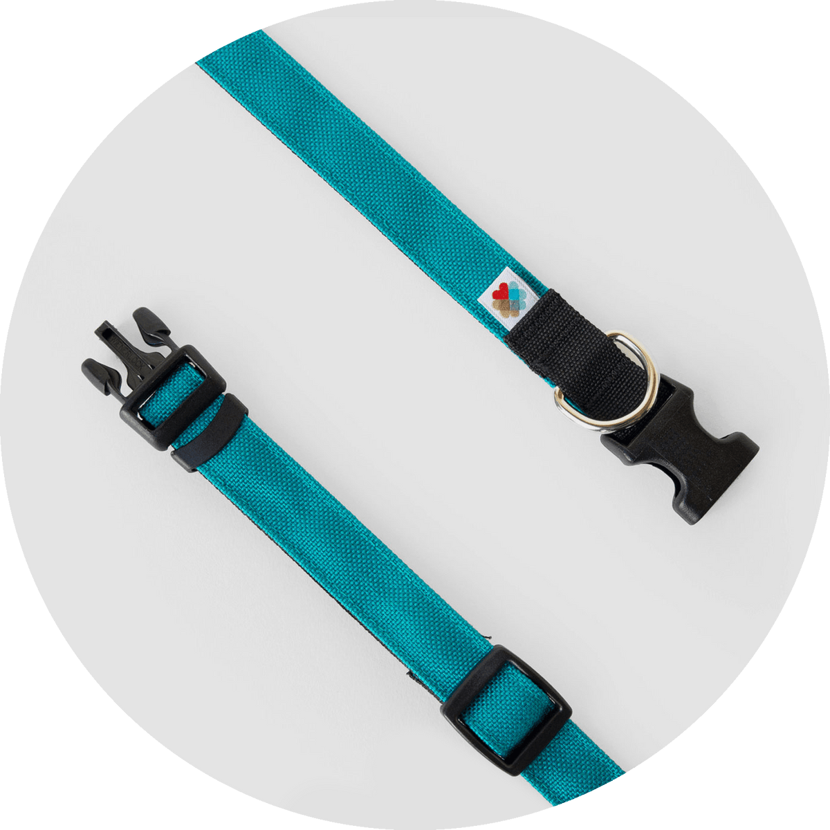 Funston Classic Dog Collar