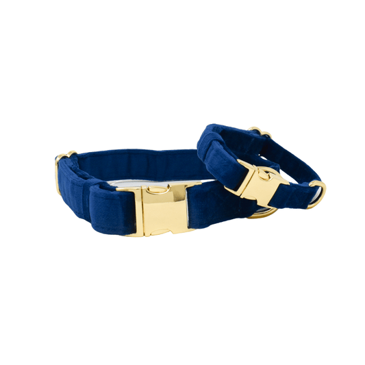 Channing Dog Collar in navy velvet, sizes XS to L, Pink Papyrus Co., sold through Sniff and Shift