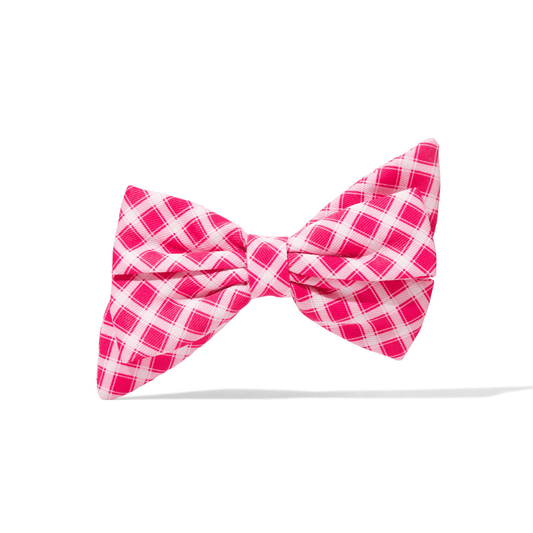 Chrishell Dog Babe Bow in dark pink gingham, Pink Papyrus Co., sold through Sniff and Shift
