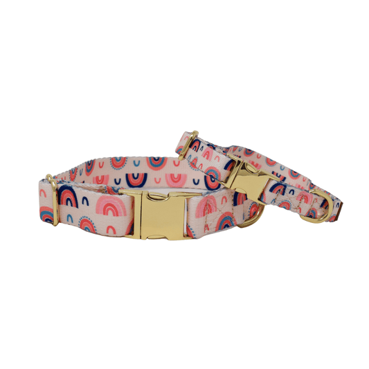 Clarke Dog Collar in a rainbow print on pink, sizes XS to L, Pink Papyrus Co., sold through Sniff and Shift