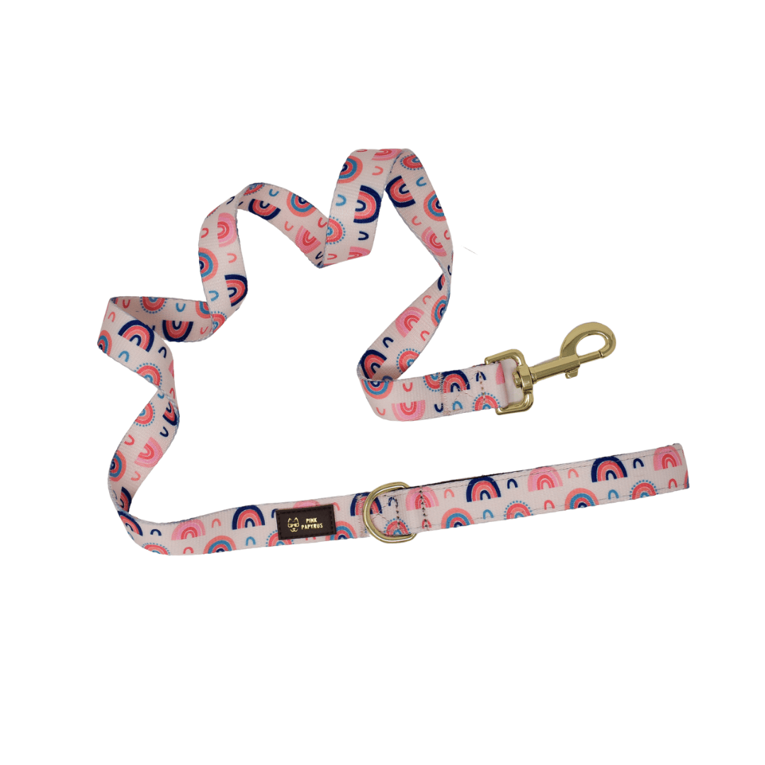 Clarke Dog Leash with a padded grip, 4 and 6 feet, Pink Papyrus Co., sold through Sniff and Shift