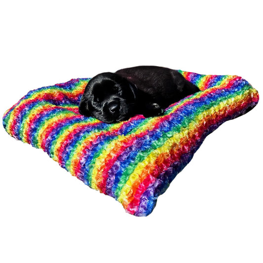 Rainbow Cloud rectangle bolstered dog bed by American Dog in rainbow minky rose fleece