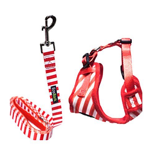 Custom-Fit Harness & Leash Combo, Red Stripe, EcoBark Pet Supplies, sold through Sniff and Shift