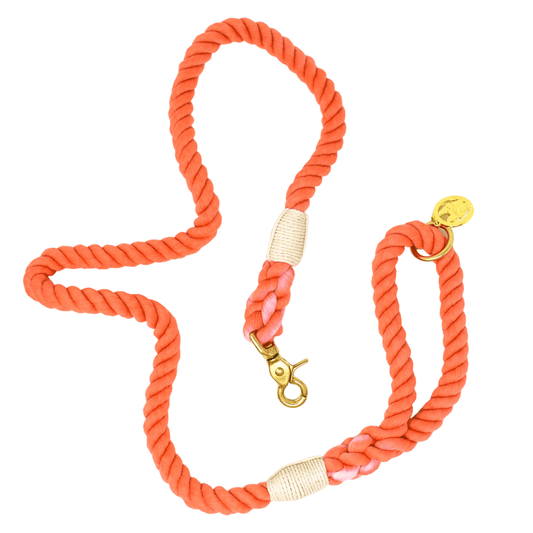 Cora Rope Dog Leash, Pink Papyrus Co., sold through Sniff and Shift