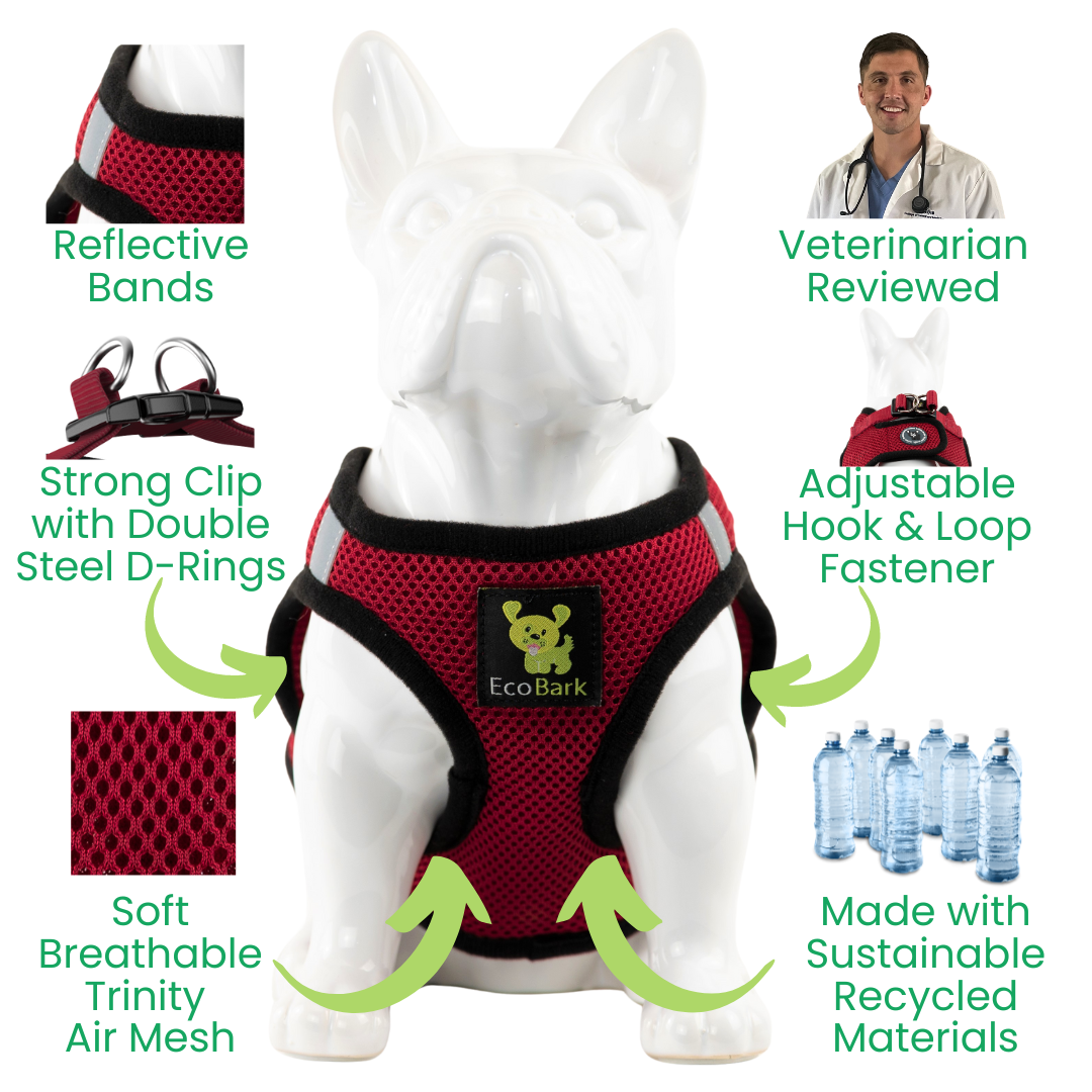 Burgundy Step-In Dog Harness, Reflective Mesh, Teacup to XL