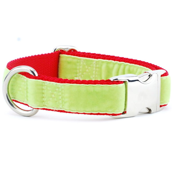 Lime Green/Red Holiday Velvet Essential Dog Collar by 2 Hounds Design, sold through Sniff and Shift